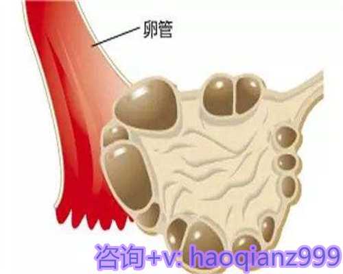 山东代生代怀,卵巢畸胎瘤患者打hmg卵泡一天长多少？						