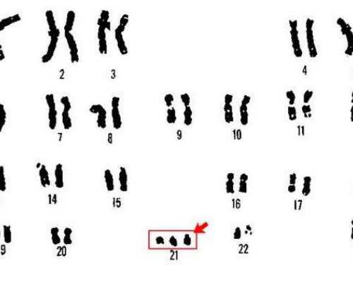 代孕客服电话，第二代试管婴儿比第一代的成功率低吗