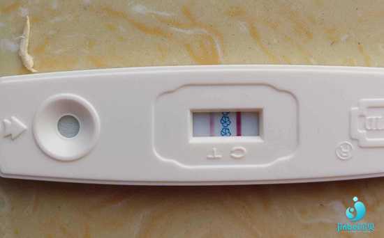 代怀机构服务,2020我的试管婴儿微刺激方案