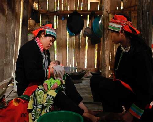 代怀生子的费用明细,第三代试管婴儿：胚胎停止发育多久流产胚胎停止发育要注意什么？